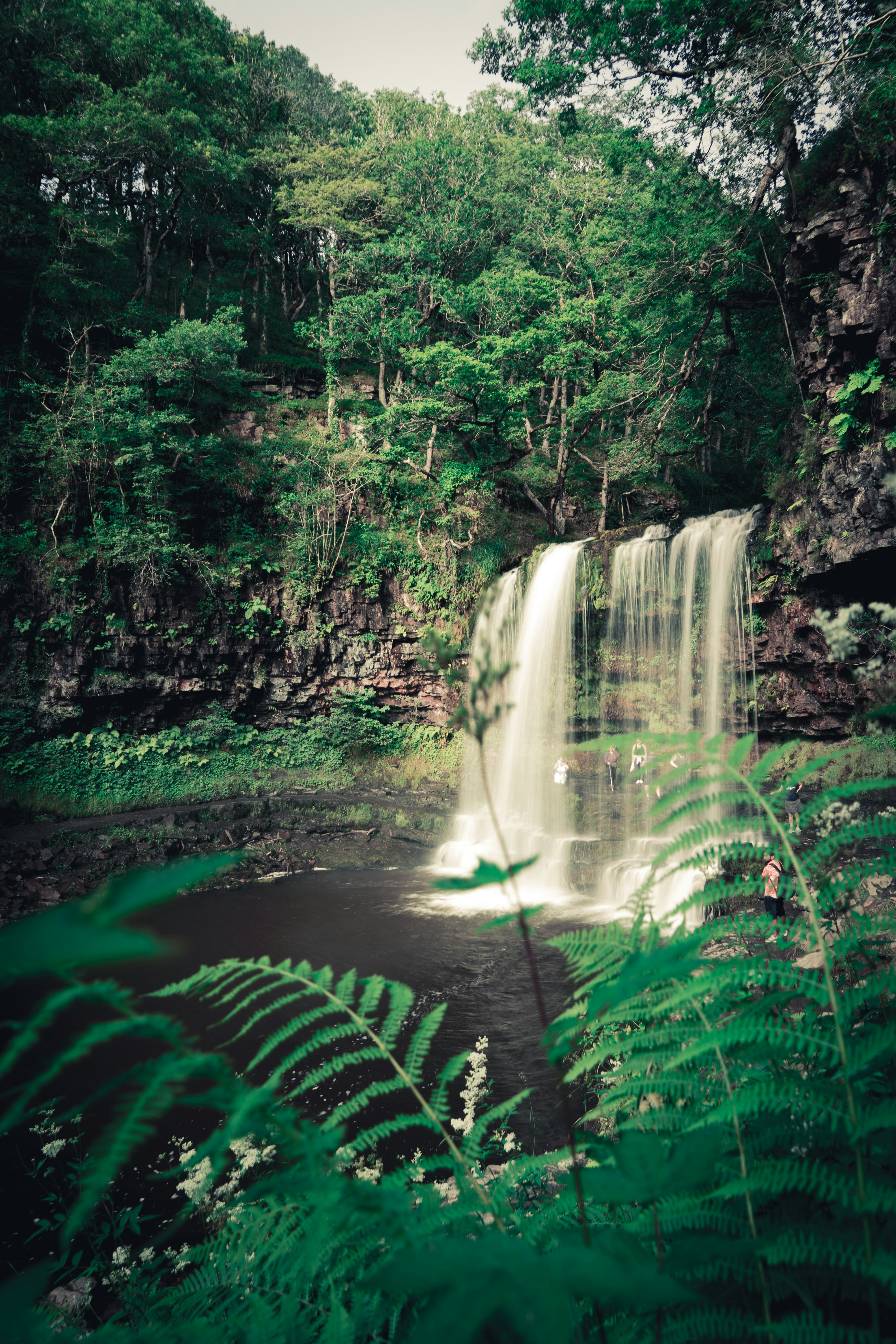 waterfalls in the middle of forest during daytime